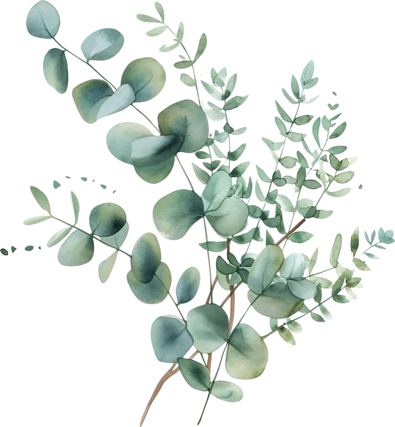 Beauty Treatments in Carlisle