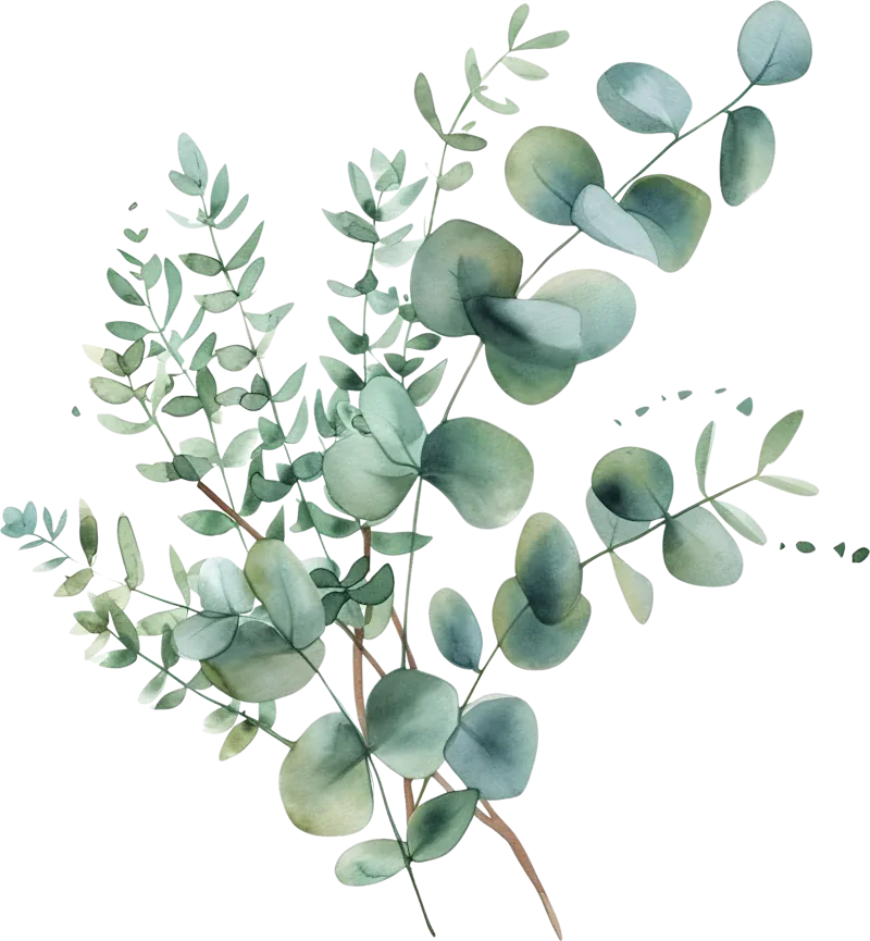 Beauty Treatments in Carlisle